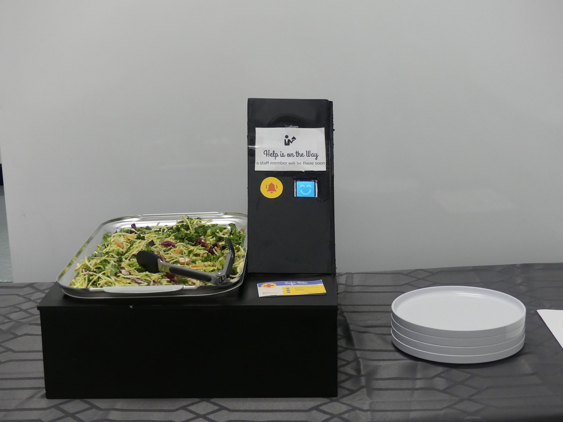 Safe Bite Tray System