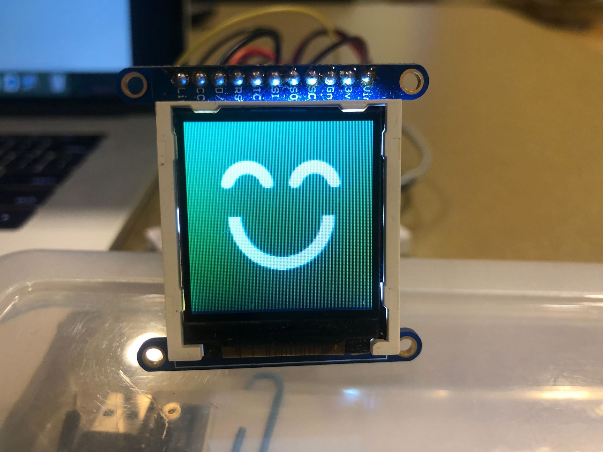 Small TFT screen, green smiley face for safe foods