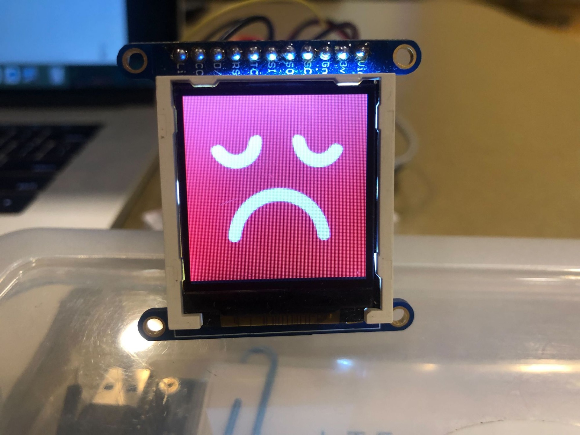 Small TFT screen, red sad face for unsafe foods